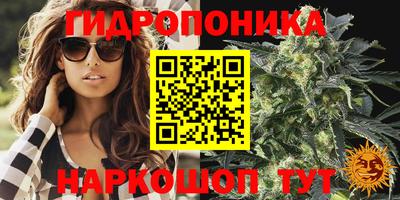 a pvp Будённовск