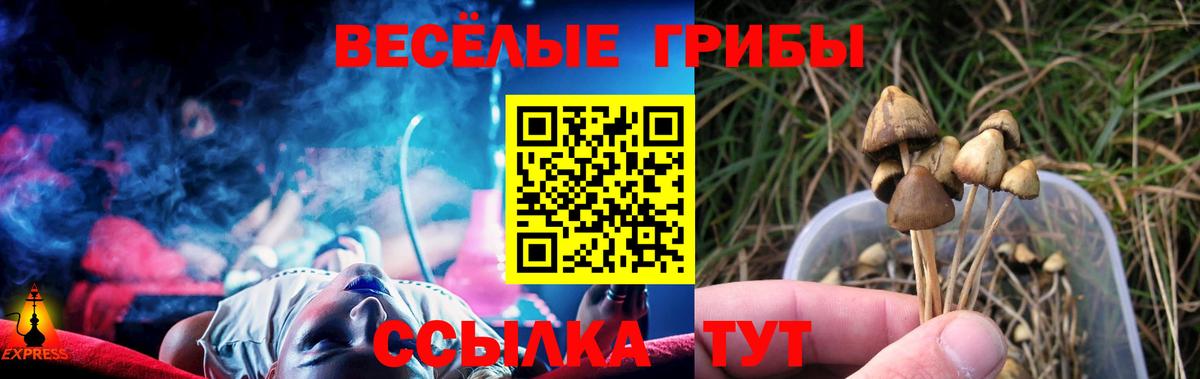 Светлоград  Псилоцибиновые грибы прущие грибы  Вход с VPN 